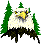 eagle face